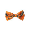 Bow tie bug morocco orange